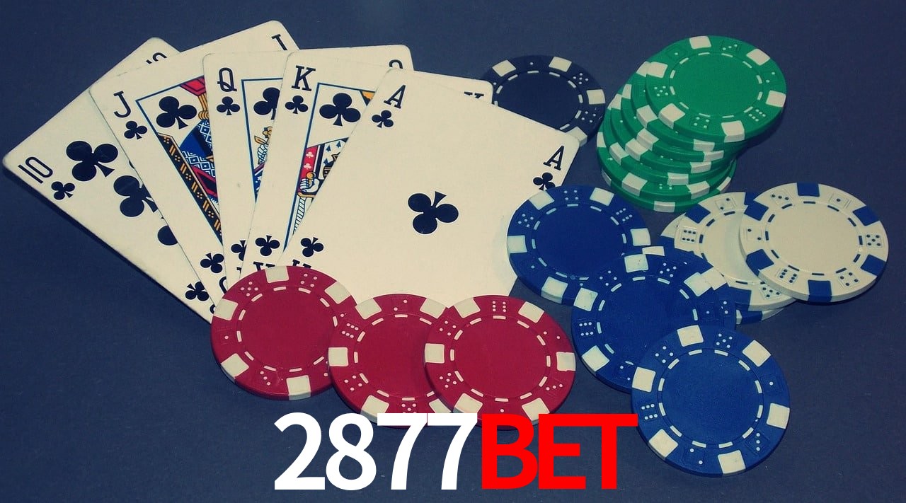 Player Reviews 2877Bet